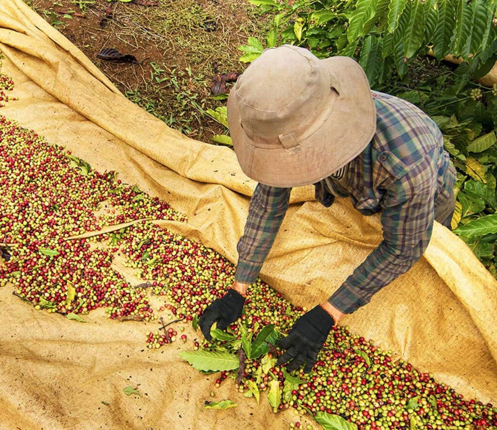 Sustainability